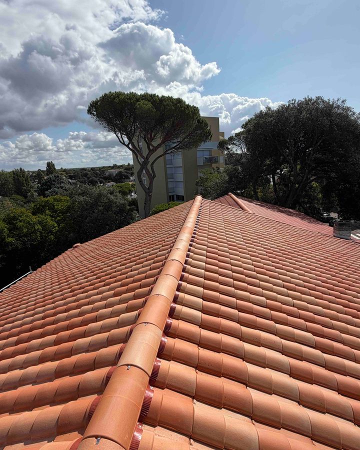 Faîtage en tuiles canal neuves vu en perspective, pin parasol et ciel nuageux en arrière-plan