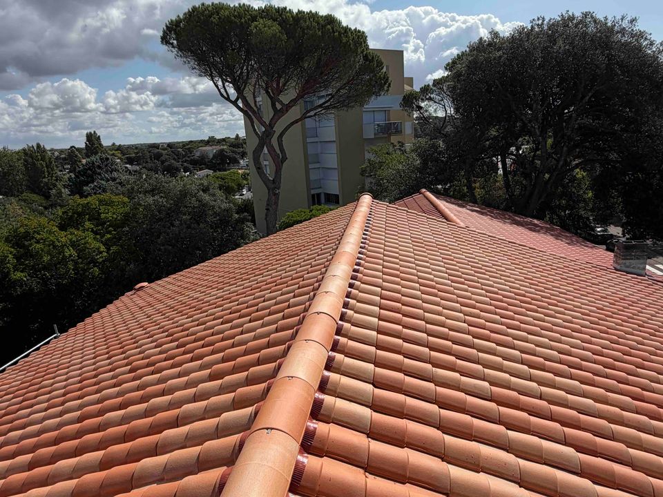 Faîtage en tuiles canal neuves vu en perspective, pin parasol et ciel nuageux en arrière-plan
