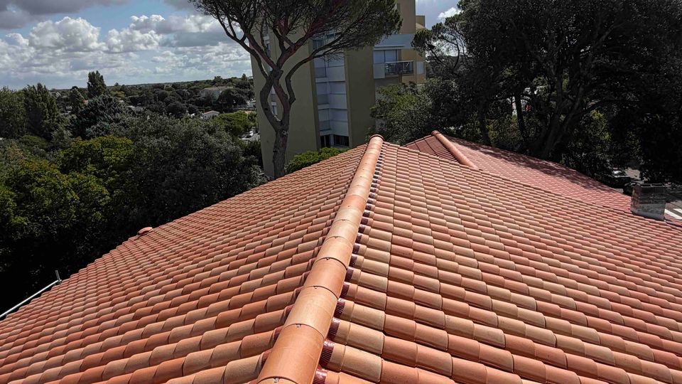 Faîtage en tuiles canal neuves vu en perspective, pin parasol et ciel nuageux en arrière-plan