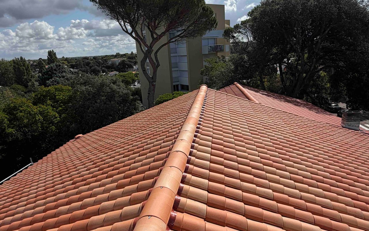 Faîtage en tuiles canal neuves vu en perspective sur un toit, pin parasol et ciel nuageux en arrière-plan