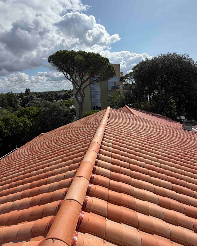 Faîtage en tuiles canal neuves vu en perspective, pin parasol et ciel nuageux en arrière-plan